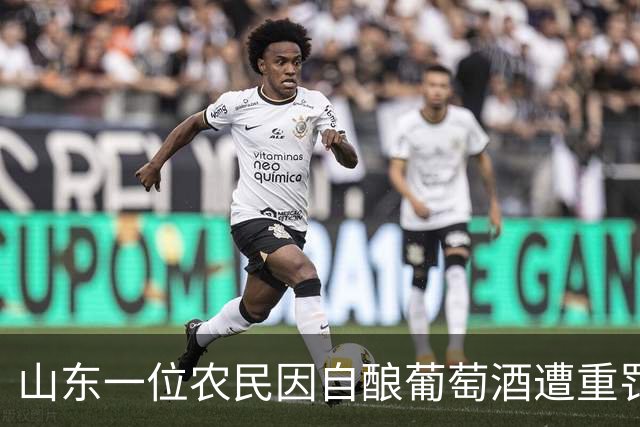 山东一位农民因自酿葡萄酒遭重罚，坚决拒绝缴款